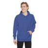 Angel Wings (On Back) Hoodie