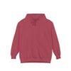 Angel Wings (On Back) Hoodie