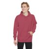 Angel Wings (On Back) Hoodie