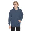 Angel Wings (On Back) Hoodie