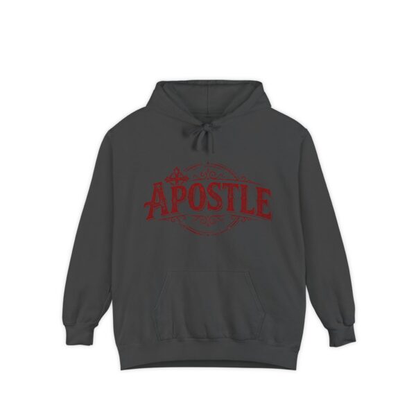 11192941365367769394_2048-3.jpeg Apostle Comfort Colors Unisex Hoodie